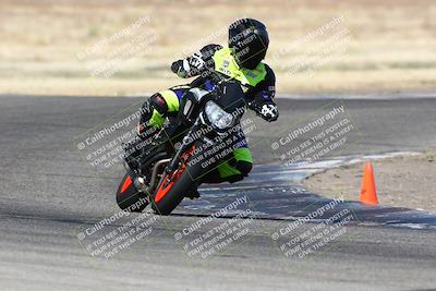 media/Jun-30-2024-TrackDaz (Sun) [[975061b0f9]]/Group C/Grapevine (940am)/